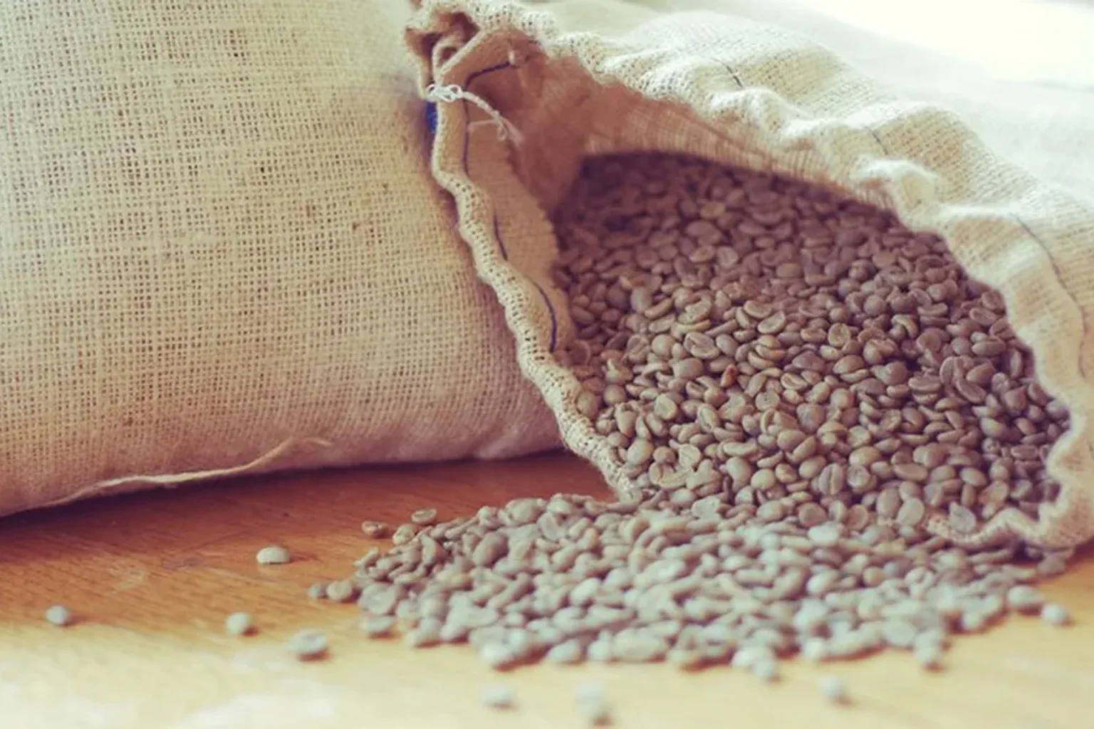 EUA passam Alemanha e voltam a liderar compra de café do Brasil em 2026