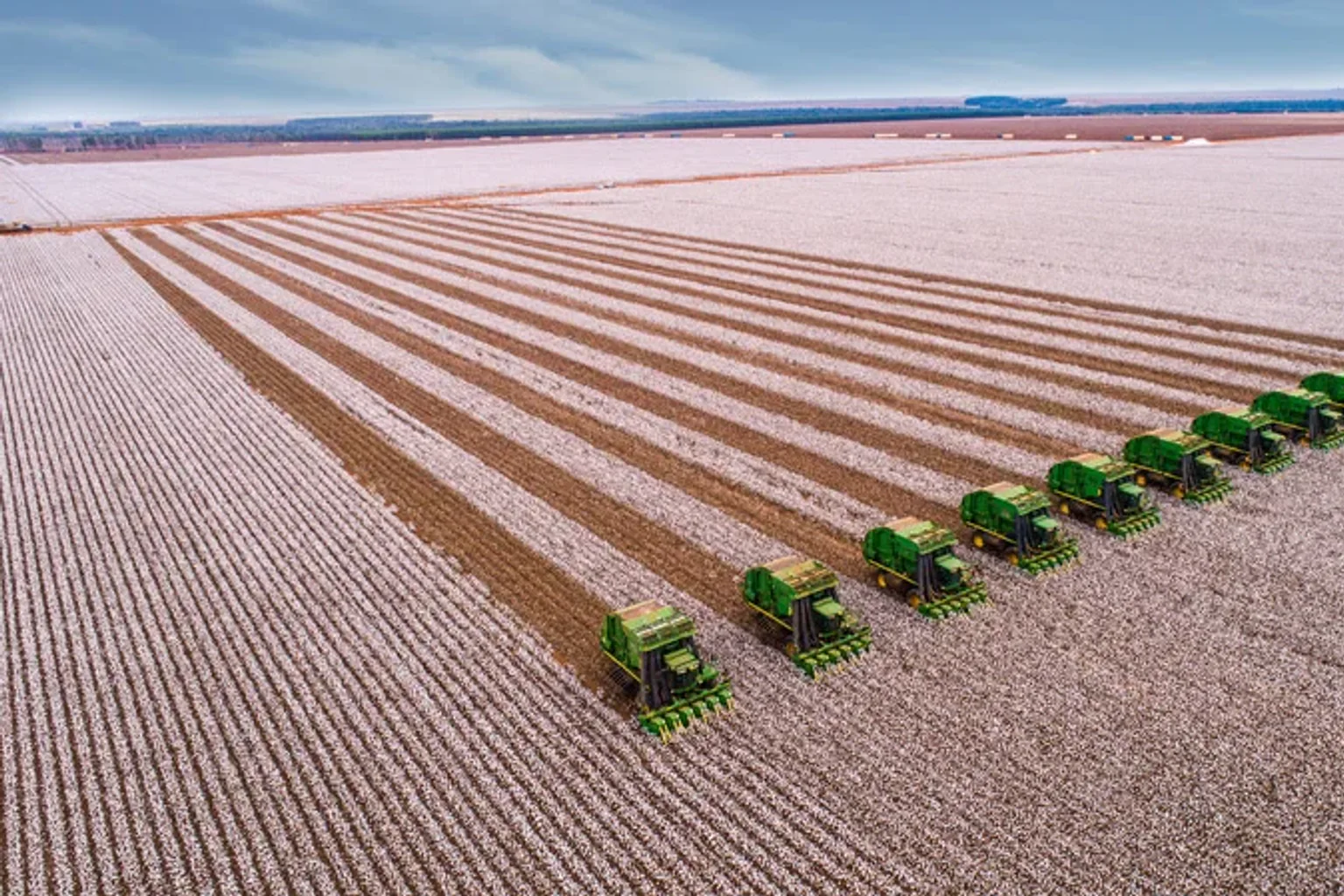 SLC Agrícola abre inscrições para Programa de Estágio 2027; veja como se candidatar