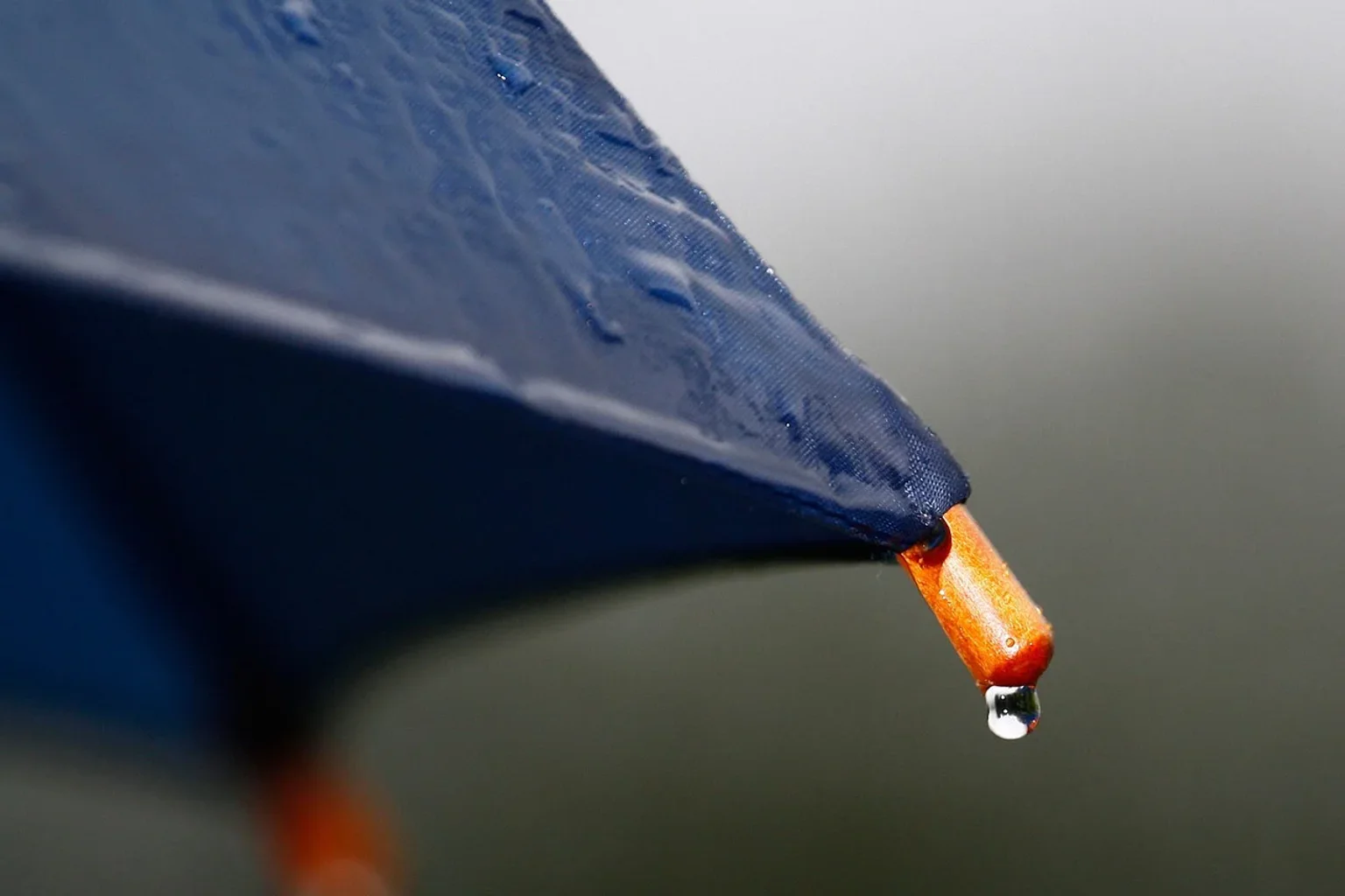 Soja trava no Brasil: excesso de chuva impede avanço do plantio e mantém lavouras em preparação