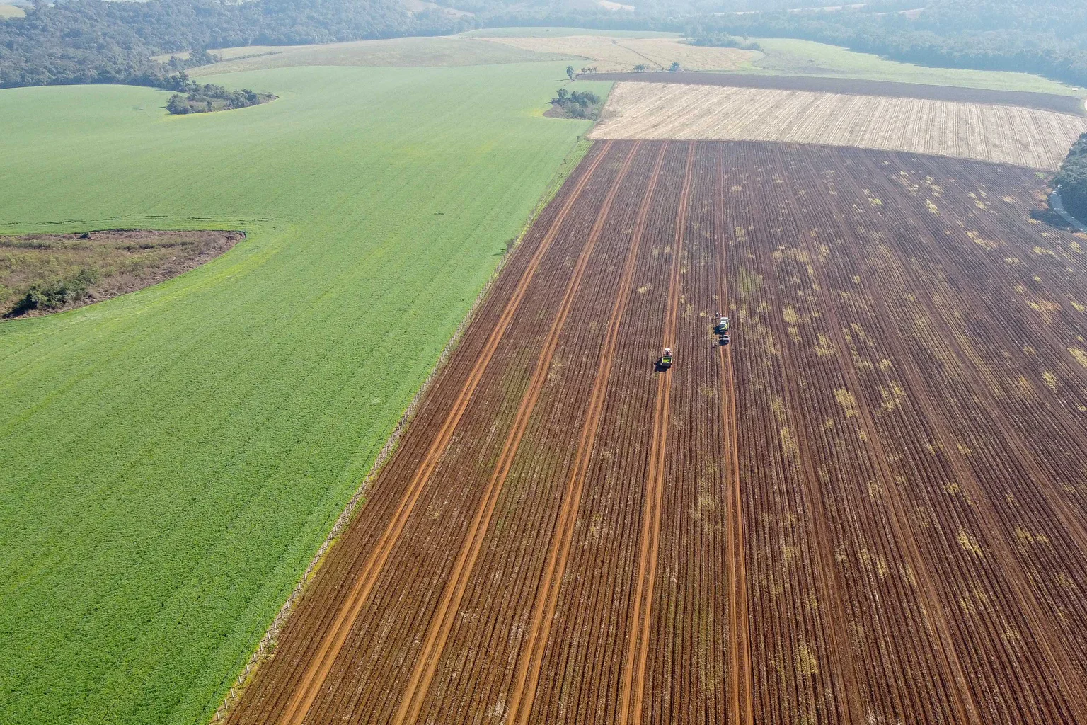 Você viu? Crédito para compra de terras dispara e atrai jovens agricultores