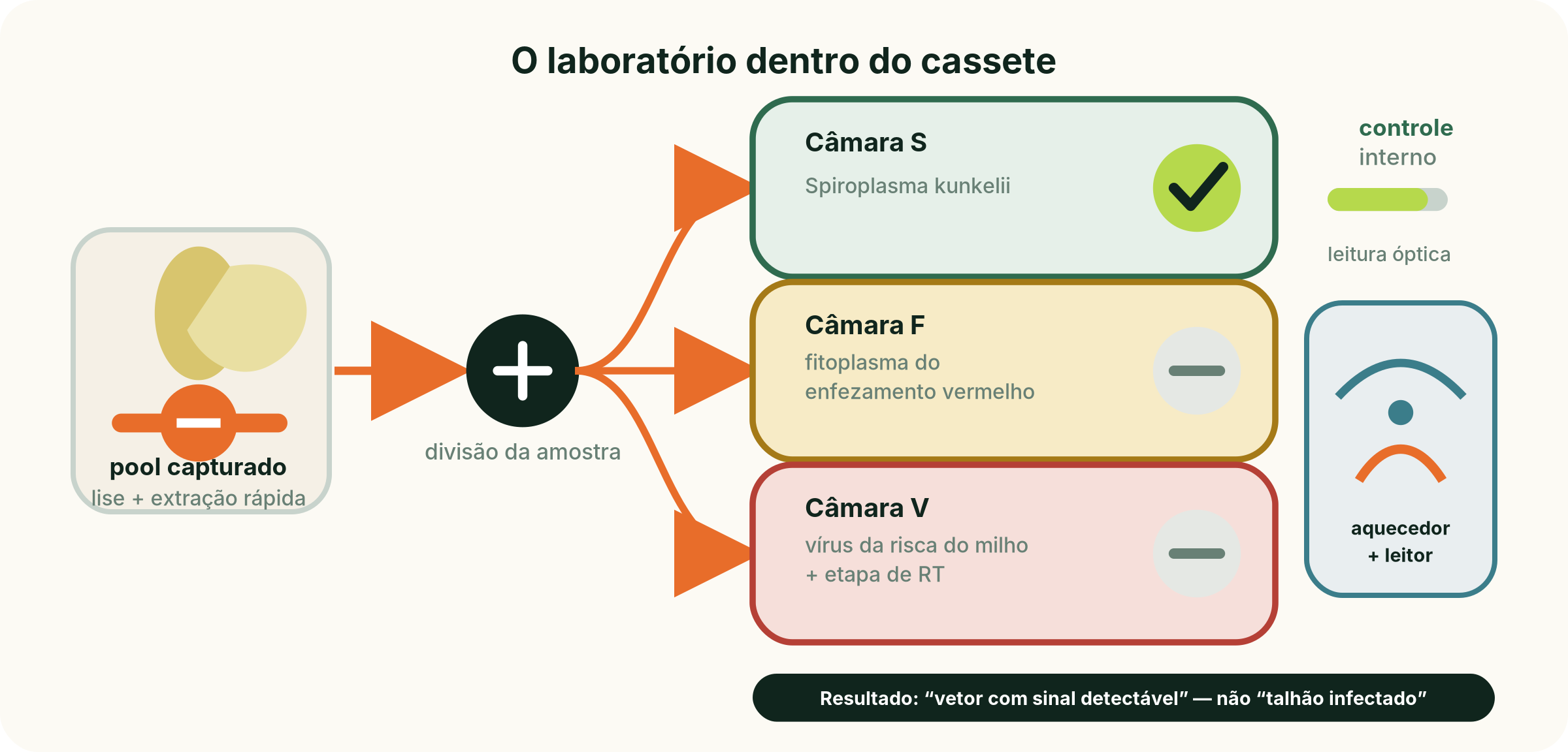 Cartucho molecular de três câmaras