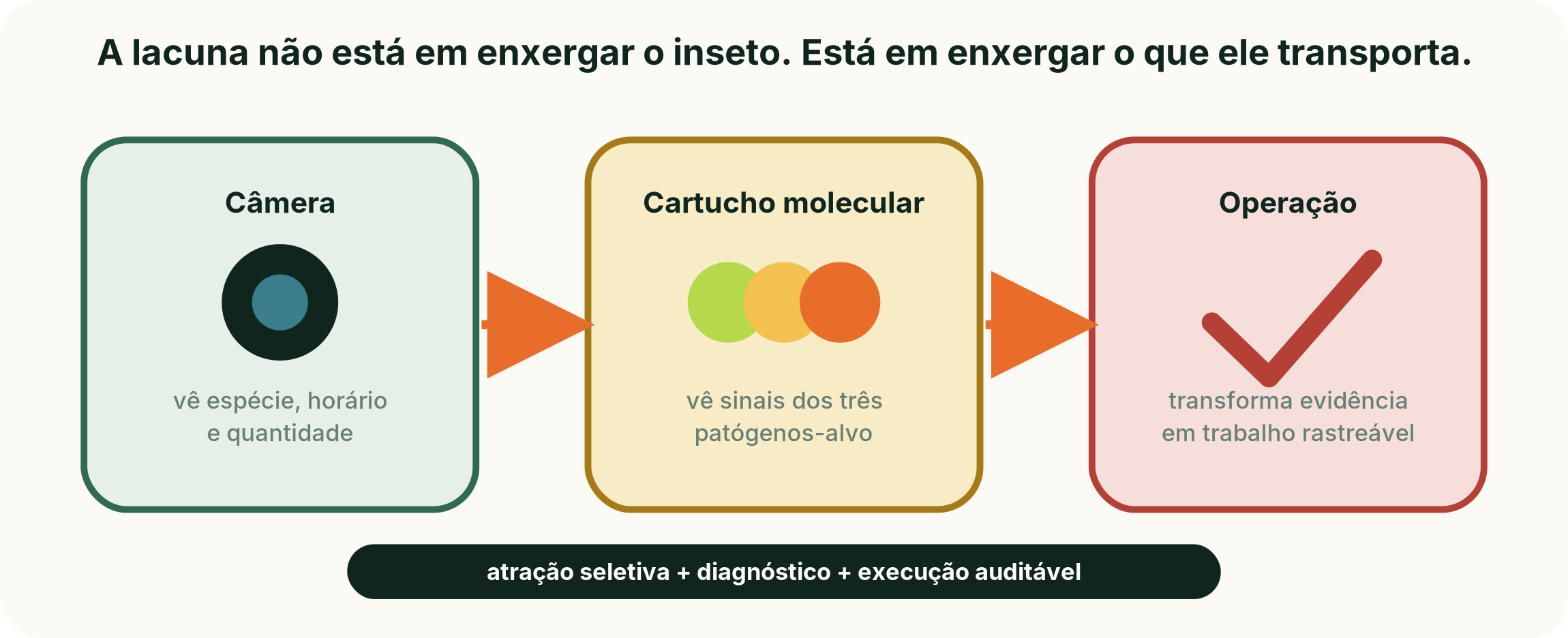 Camadas de inovação do Milho-Farol