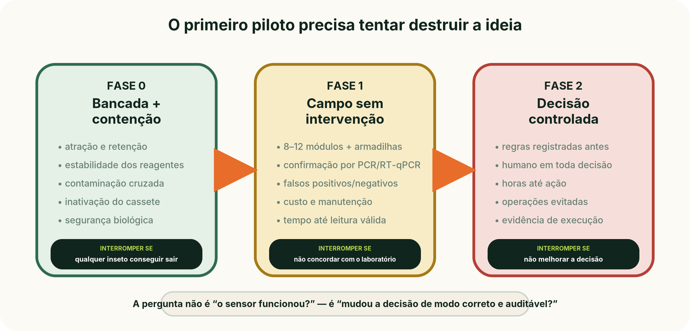 Fases do piloto Milho-Farol