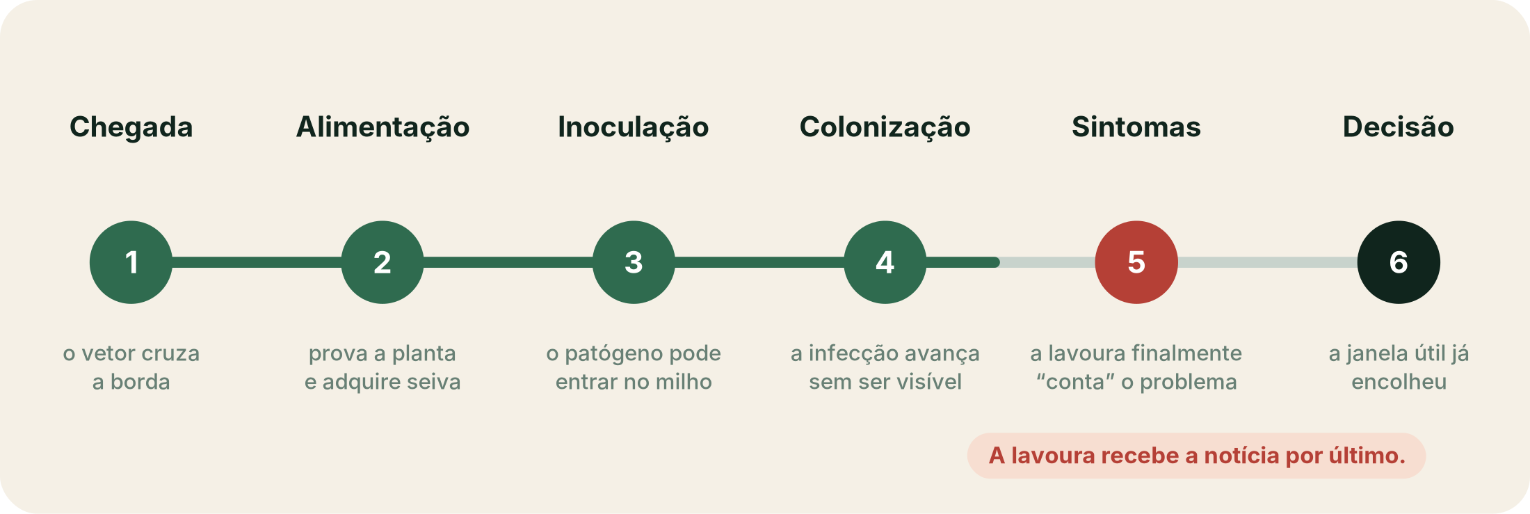 Cronologia da chegada do vetor até a decisão